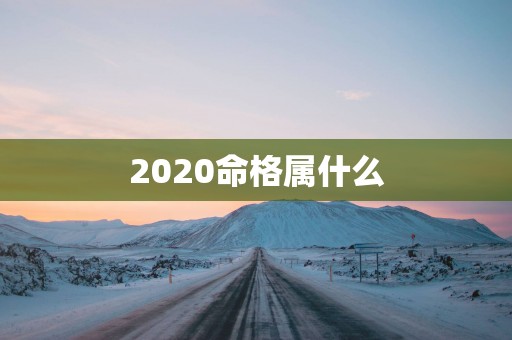 2020命格属什么