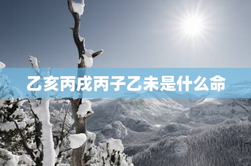 乙亥丙戌丙子乙未是什么命