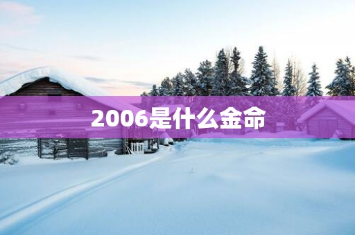 2006是什么金命