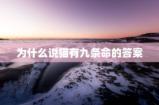 为什么说猫有九条命的答案
