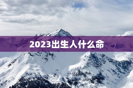 2025出生人什么命