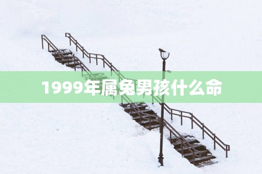 1999年属兔男孩什么命