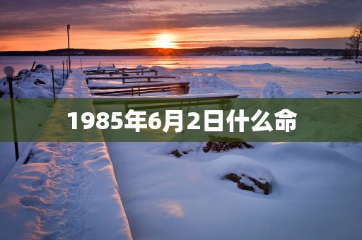 1985年6月2日什么命