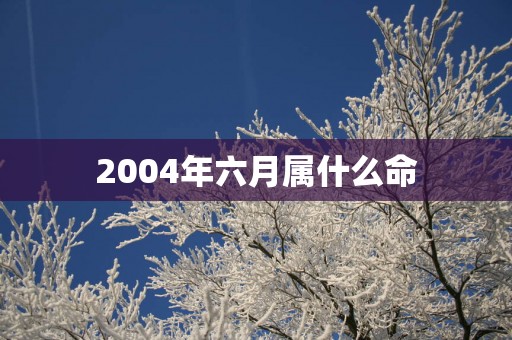 2004年六月属什么命