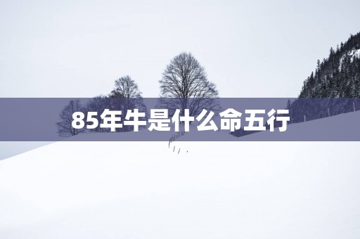 85年牛是什么命五行