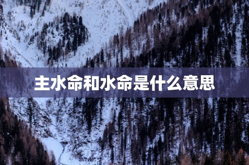 主水命和水命是什么意思