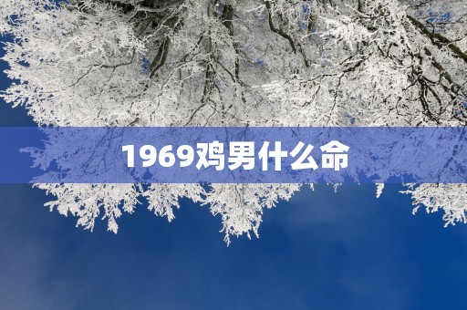 1969鸡男什么命