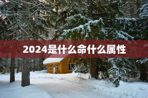 2025是什么命什么属性