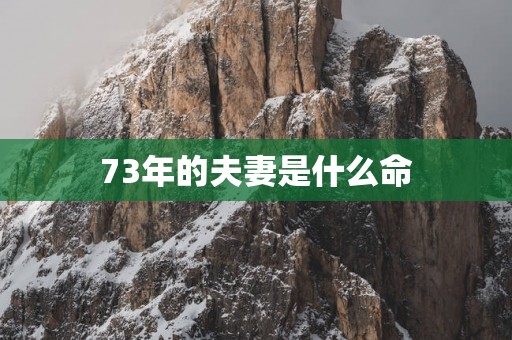 73年的夫妻是什么命