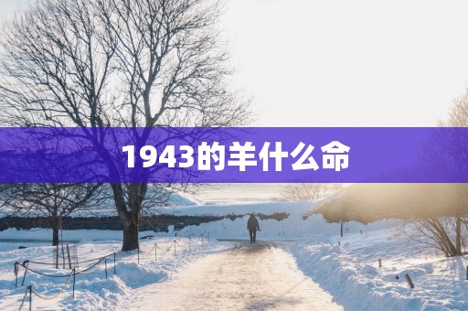 1943的羊什么命