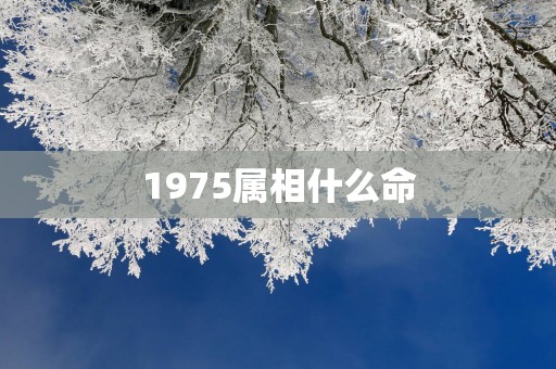 1975属相什么命