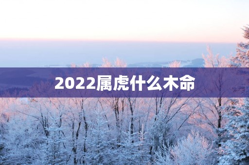 2025属虎什么木命