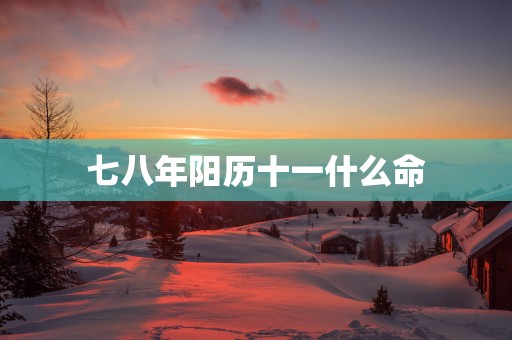七八年阳历十一什么命
