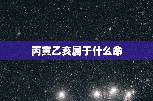 丙寅乙亥属于什么命
