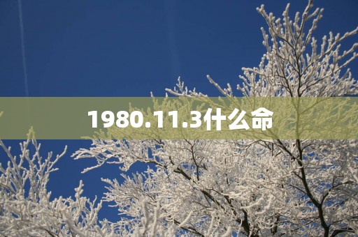 1980.11.3什么命