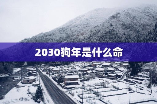 2030狗年是什么命