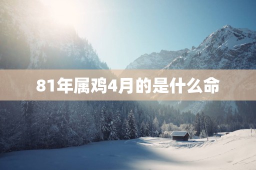 81年属鸡4月的是什么命