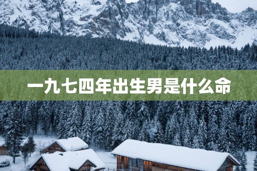 一九七四年出生男是什么命