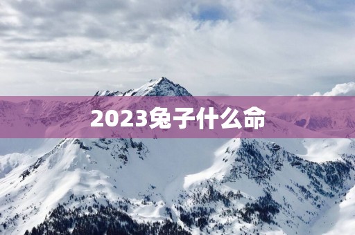 2025兔子什么命