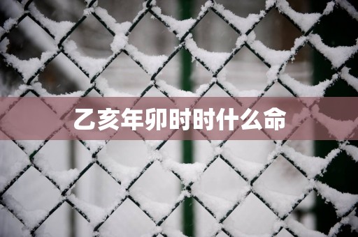 乙亥年卯时时什么命