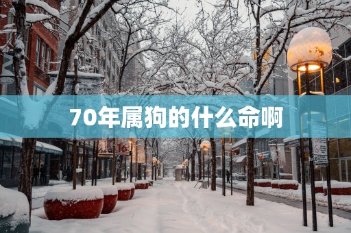 70年属狗的什么命啊