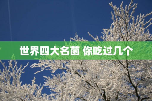 世界四大名菌 你吃过几个