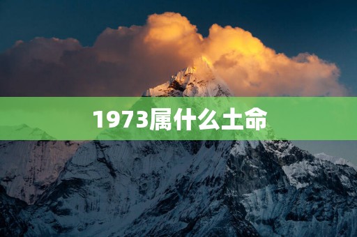 1973属什么土命