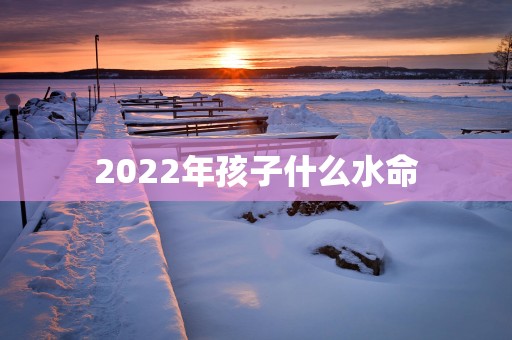 2025年孩子什么水命