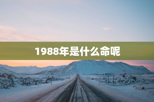 1988年是什么命呢