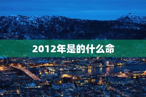 2012年是的什么命