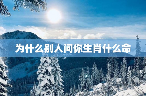 为什么别人问你生肖什么命
