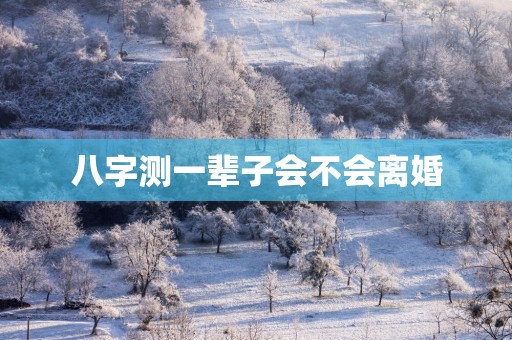 八字测一辈子会不会离婚