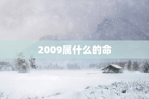 2009属什么的命