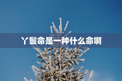 丫鬟命是一种什么命啊