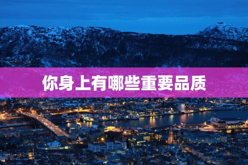 你身上有哪些重要品质