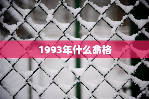 1993年什么命格