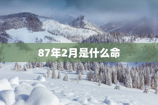 87年2月是什么命