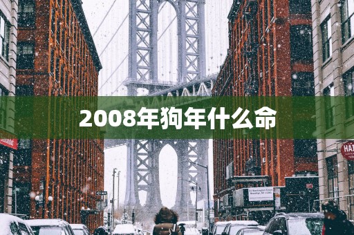 2008年狗年什么命
