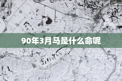 90年3月马是什么命呢