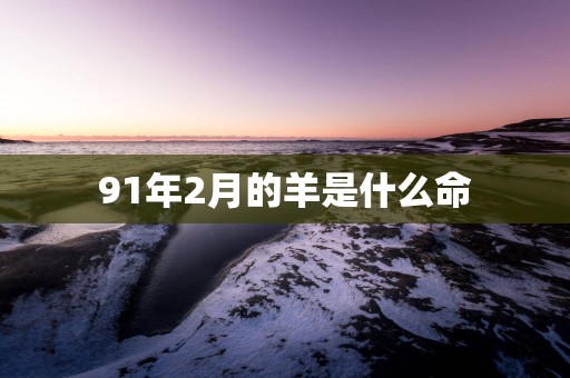 91年2月的羊是什么命