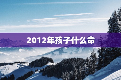 2012年孩子什么命