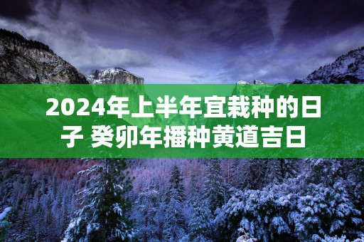 2024年上半年宜栽种的日子 癸卯年播种黄道吉日