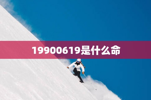 19900619是什么命