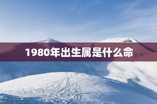 1980年出生属是什么命