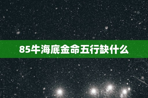 85牛海底金命五行缺什么
