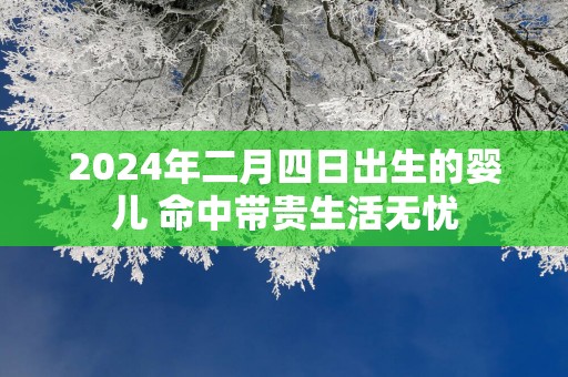 2025年二月四日出生的婴儿 命中带贵生活无忧