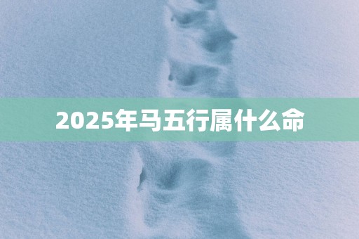 2025年马五行属什么命