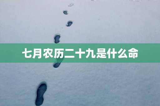 七月农历二十九是什么命