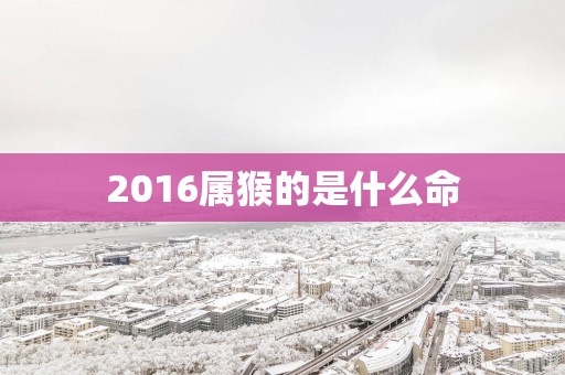 2016属猴的是什么命