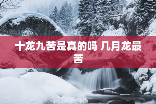 十龙九苦是真的吗 几月龙最苦